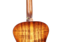 Load image into Gallery viewer, Breedlove Legacy Concertina Cinnamon Burst E