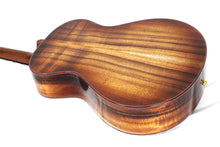 Load image into Gallery viewer, Breedlove Legacy Concertina Cinnamon Burst E