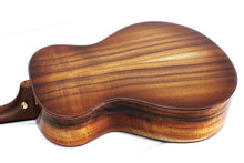 Load image into Gallery viewer, Breedlove Legacy Concertina Cinnamon Burst E