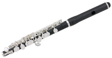 Load image into Gallery viewer, Pearl PFP105ES Grenaditte Piccolo W/case&cover Traditional Straight Headjoint