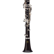 Load image into Gallery viewer, Buffet E12F Bb Clarinet - France African Wood