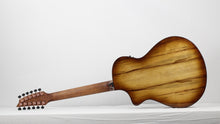 Load image into Gallery viewer, Pursuit Exotic S Concert Amber 12 String CE Myrtlewood-Myrtlewood