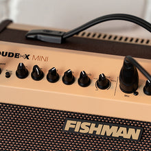 Load image into Gallery viewer, Fishman Loudbox Mini w/ Bluetooth