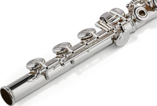 Load image into Gallery viewer, Azumi AZ2SRBEO Flute
