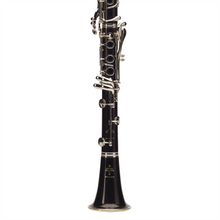 Load image into Gallery viewer, Buffet R13 Professional Clarinet, African Blackwood/Nickel Plated Keys
