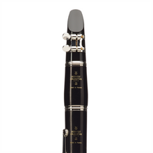 Load image into Gallery viewer, Buffet R13 Professional Clarinet, African Blackwood/Nickel Plated Keys
