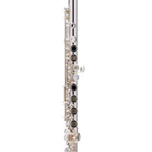 Load image into Gallery viewer, Powell Sonare 601 Flute Offset G Split B-foot with Case
