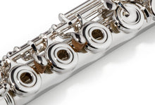 Load image into Gallery viewer, Azumi AZ2SRBEO Flute
