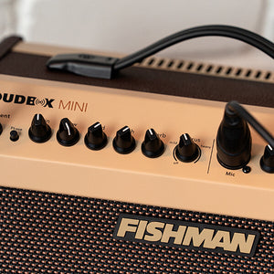 Fishman Loudbox Mini w/ Bluetooth – Music World